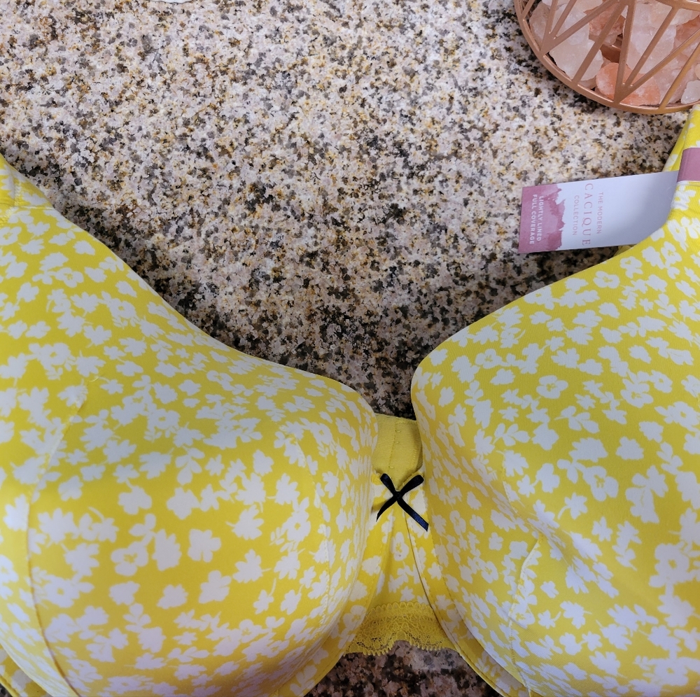 Lane Bryant/Cacique Bra